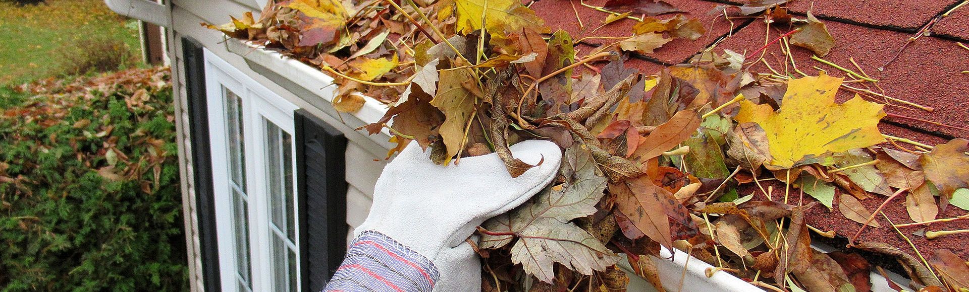 a person is cleaning a gutter of leaves from a house