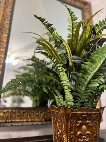 A vibrant green fern in an ornate, metallic gold vase, positioned in front of a decorative, gold-framed wall mirror.