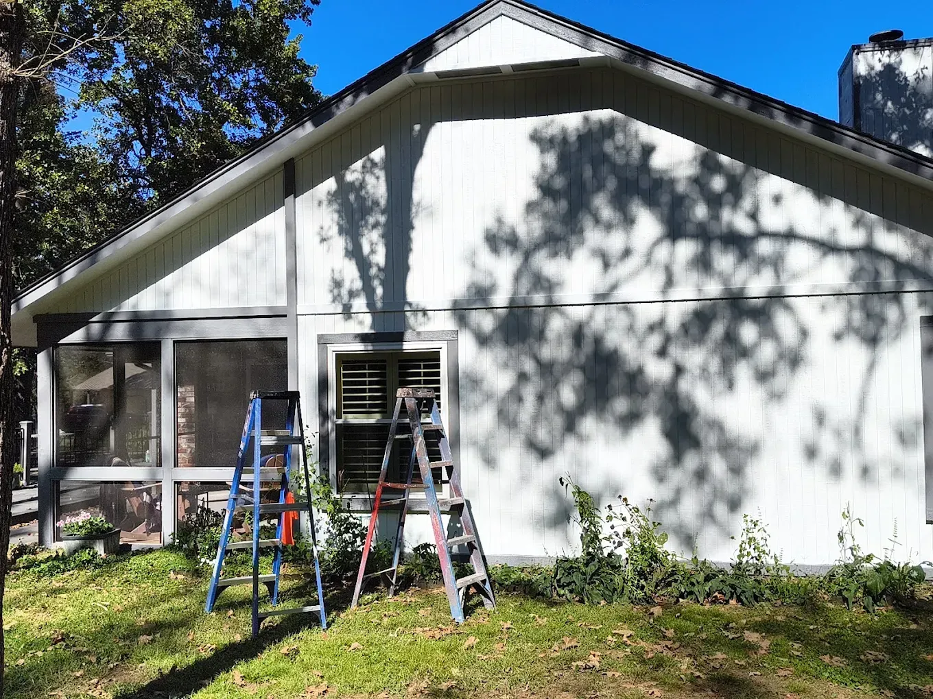 House exterior with ladders and a window being worked on in a sunny yard