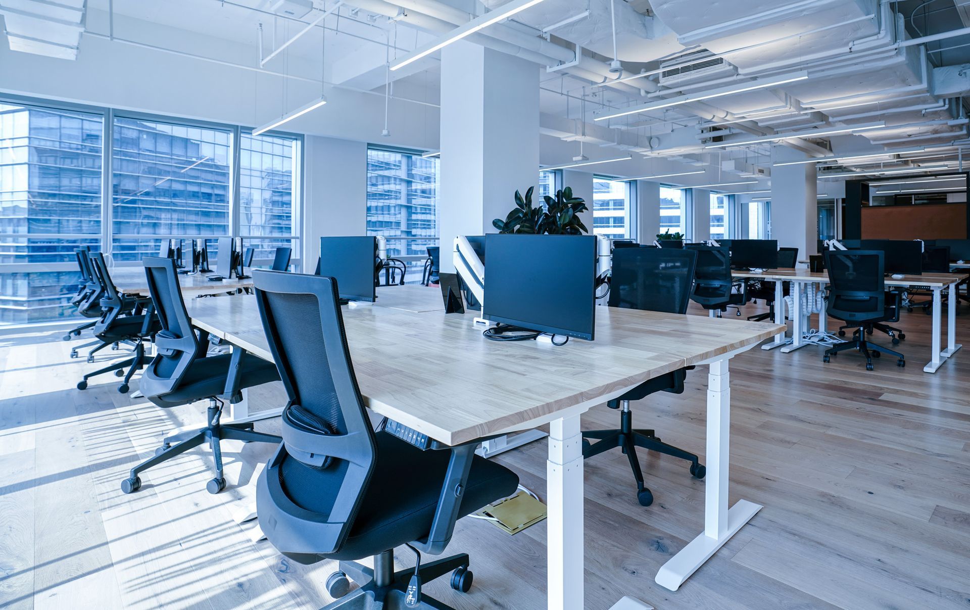Modern office with desks, computers, and ergonomic chairs; natural light streams through large windows.