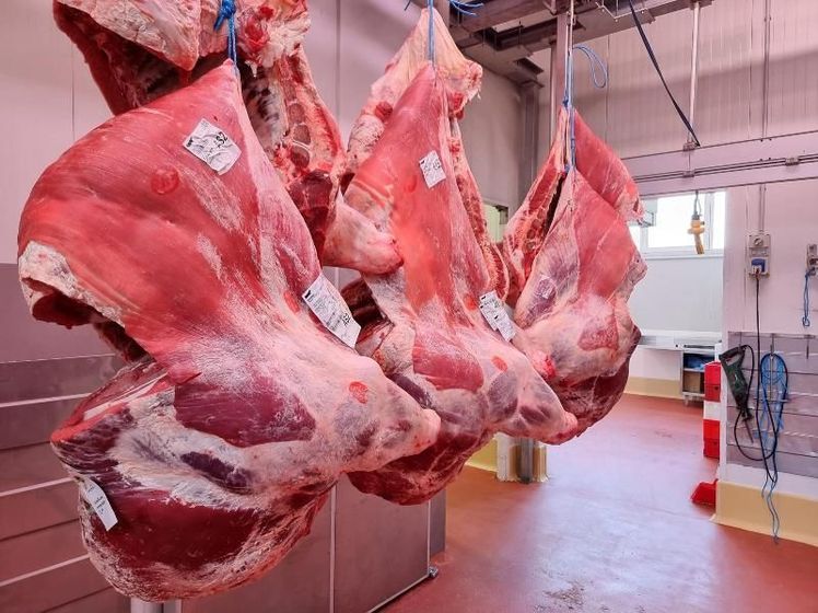regioni italiane in cui è presente la ditta