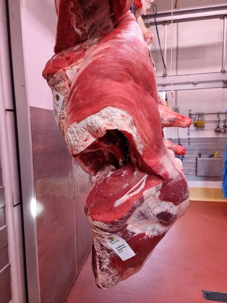 regioni italiane in cui è presente la ditta