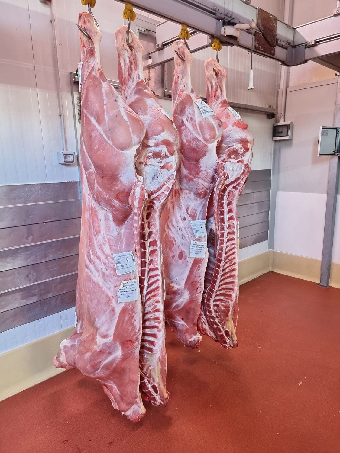 carne all'ingrosso