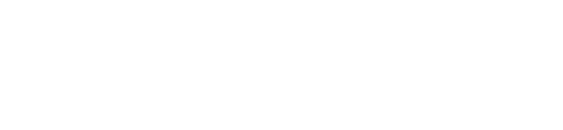 Blank white horizontal banner with a faint gray line near the bottom.