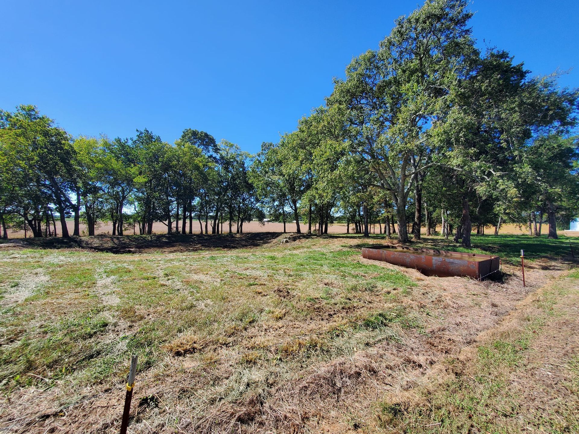 A rural landscape showing a grassy field with a metal trough, bordered by a line of mature trees under a clear blue sky.