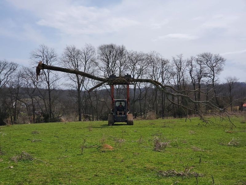 A skid steer lifting a long, horizontal tree trunk in a grassy field against a backdrop of bare trees.