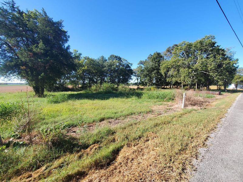 A rural scene featuring a grassy lot bordered by a paved road on the right and a cluster of mature trees in the background.