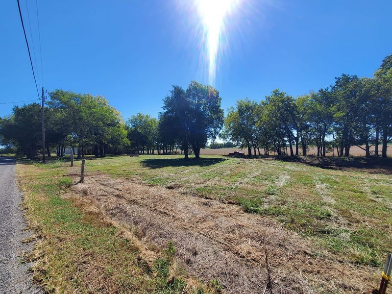 A bright, sunny view of a grassy lot bordered by trees, with a road visible on the left side.