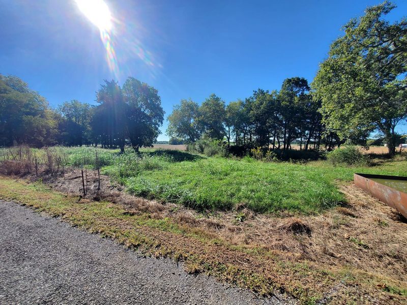 A sunny, grassy field stretches toward a line of green trees under a bright blue sky, bordered by a gravel road.