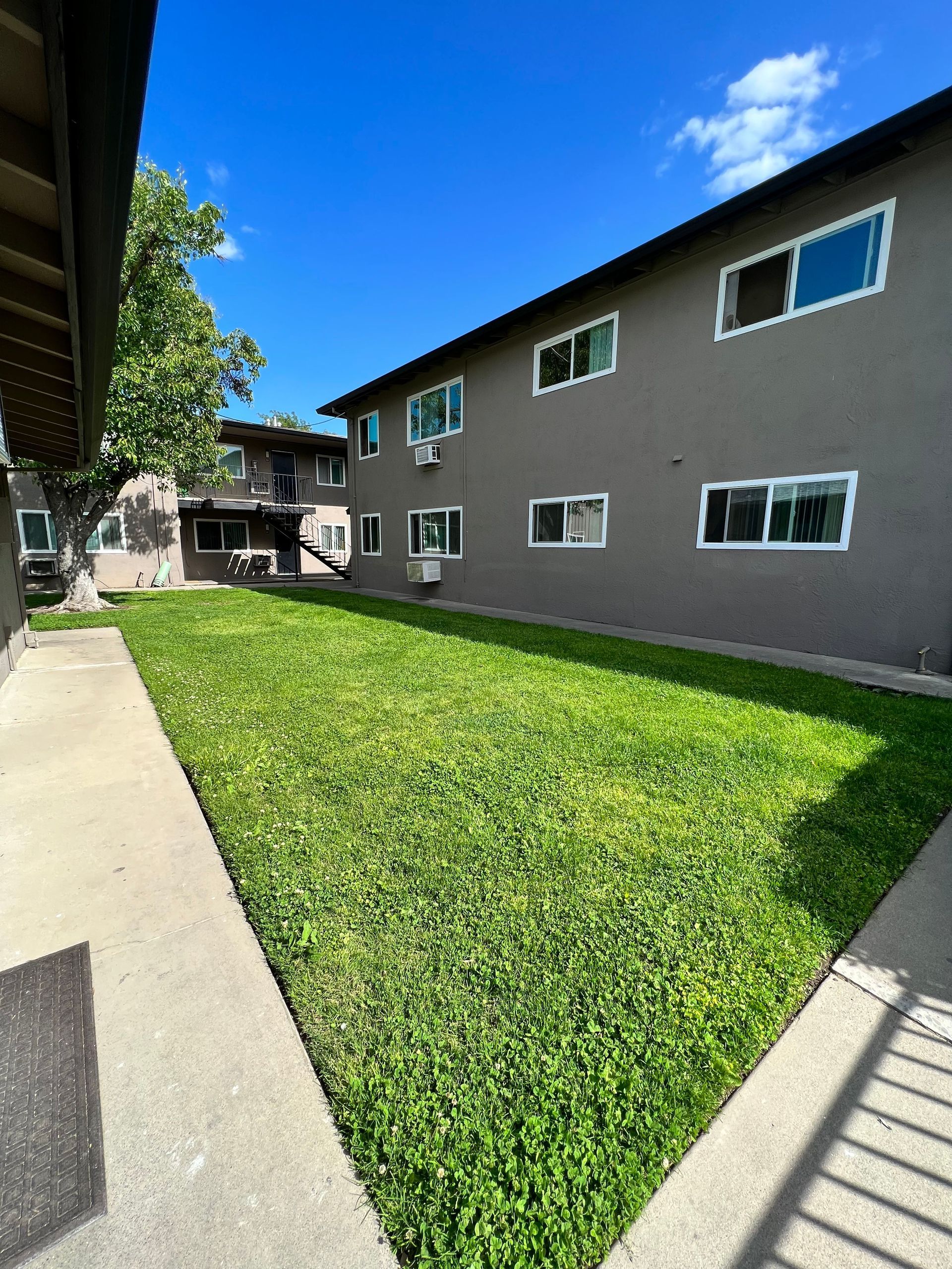 lawn