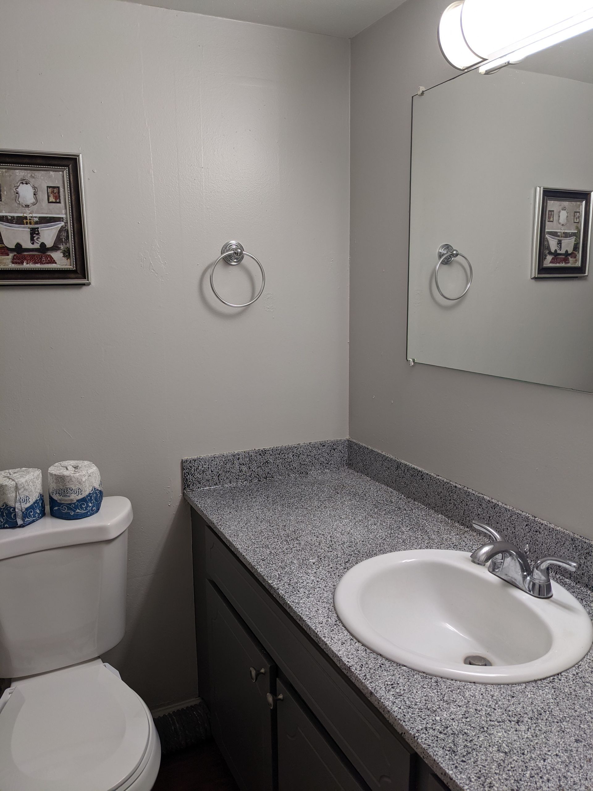 a bathroom with a toilet a sink and a mirror