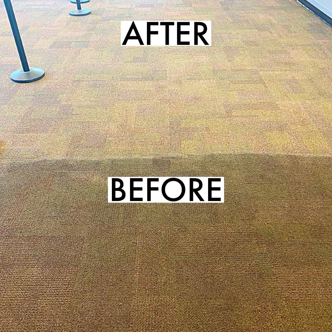 Before and after shot of carpet cleaning; top section is clean