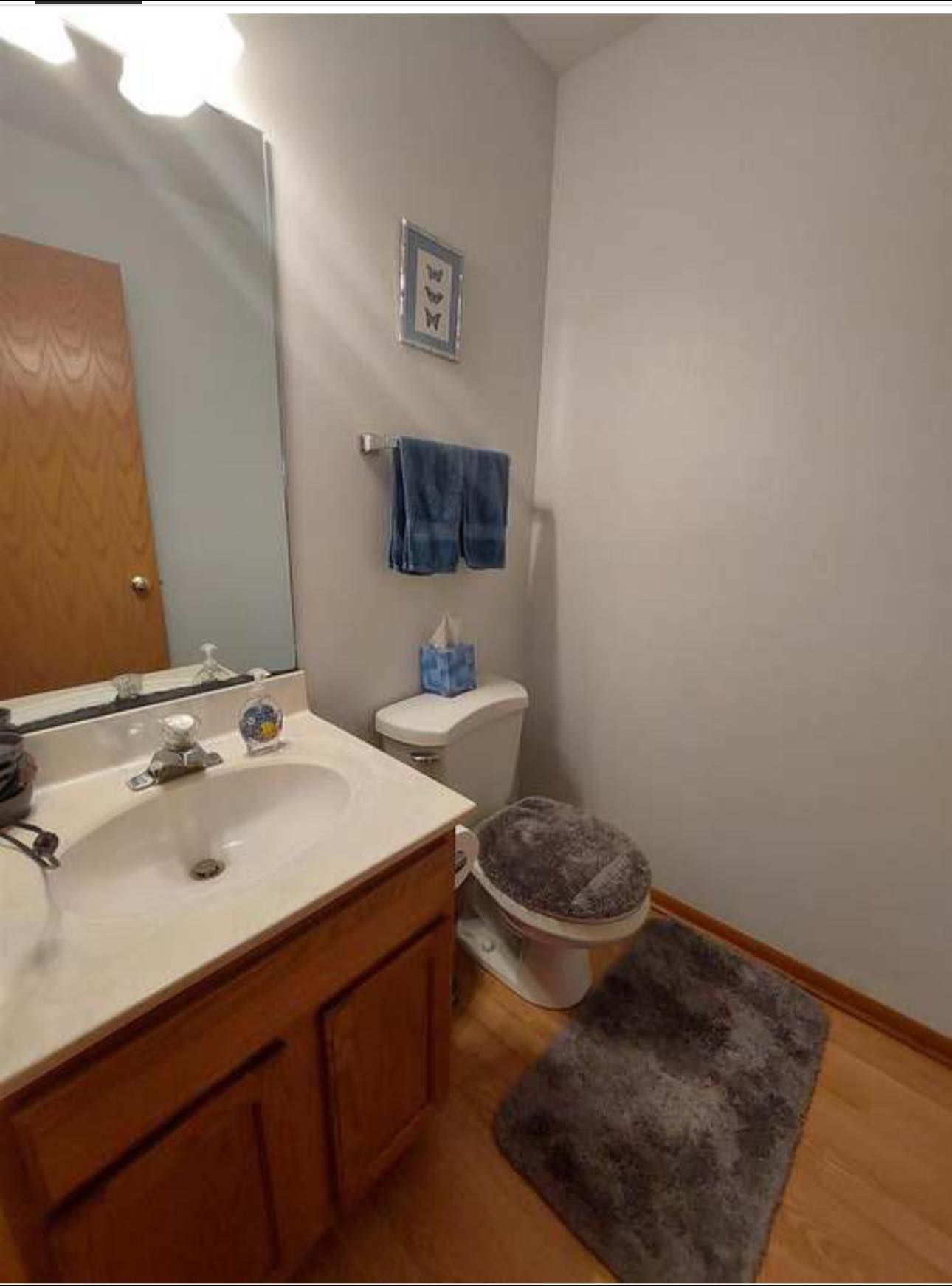 before bathroom remodel in Madison WI