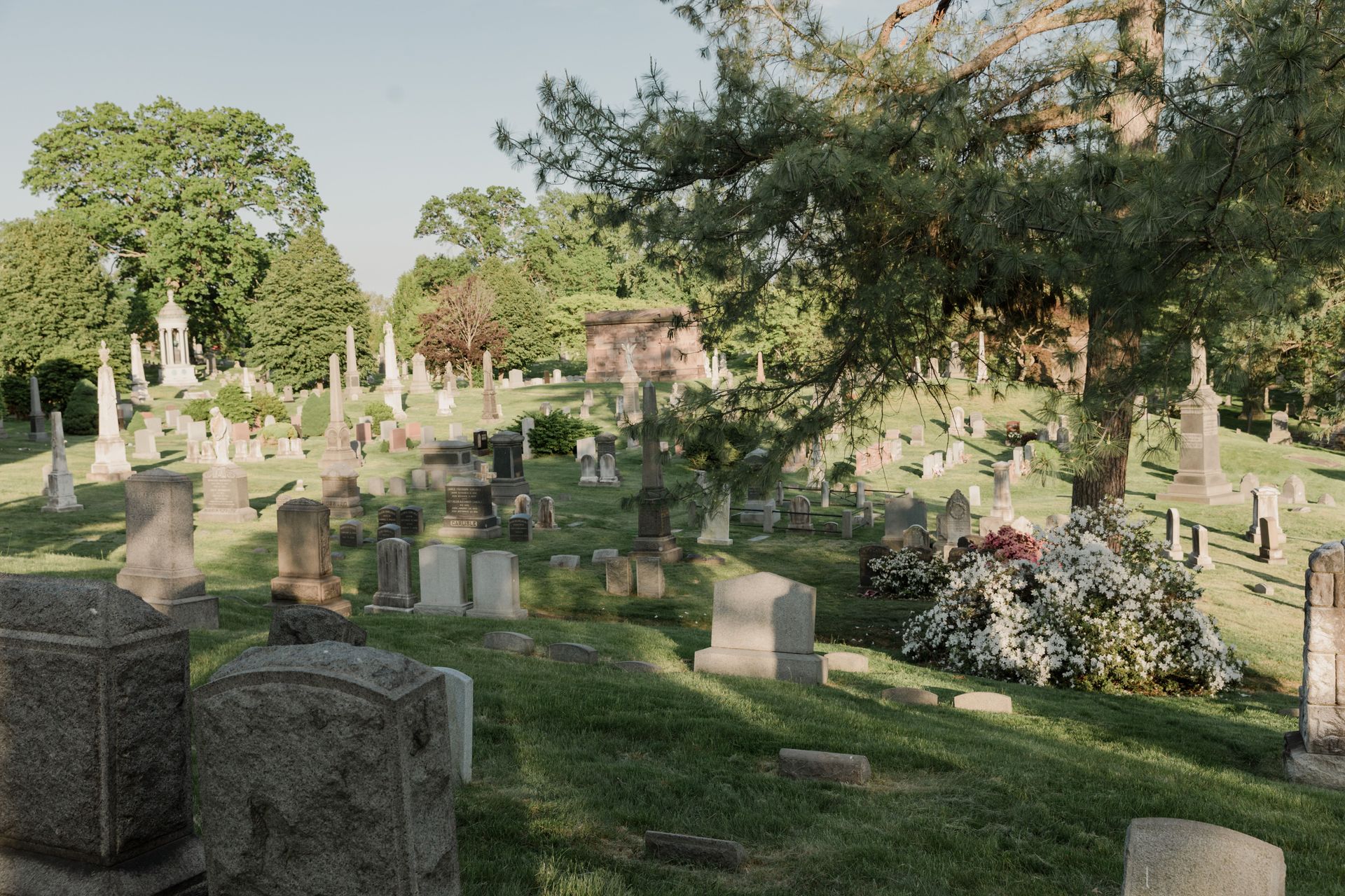 Burial vs. Cremation