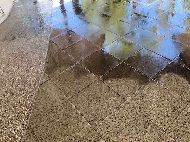 A Close Up of a Tiled Floor With a Reflection of Trees in It — The Tile & Stone Specialists in Peregian Beach, QLD