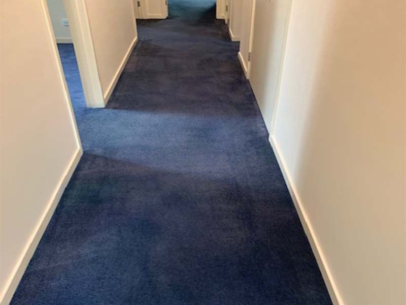 A Hallway With Blue Carpet and White Walls — The Tile & Stone Specialists in Peregian Beach, QLD