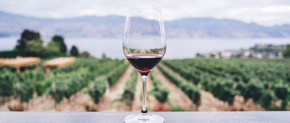 wine glass on a winery background