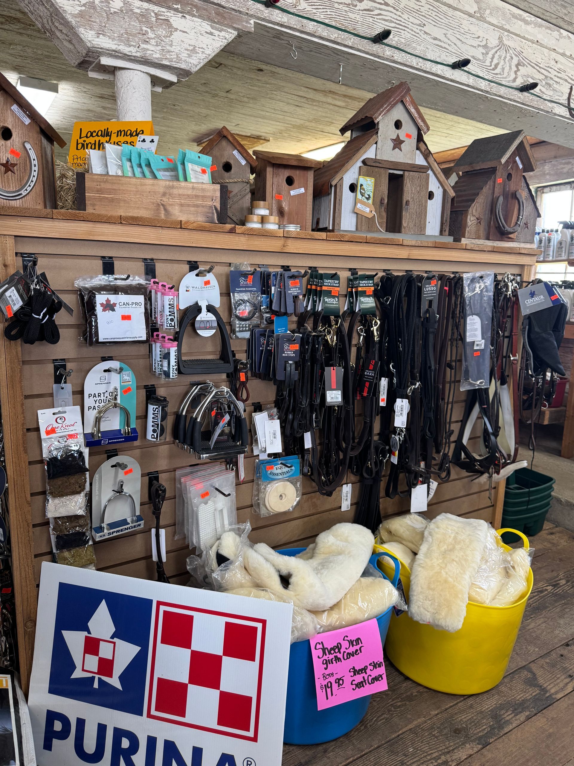 Gift shop display of dog collars, toys, and pet accessories on rustic wooden shelves