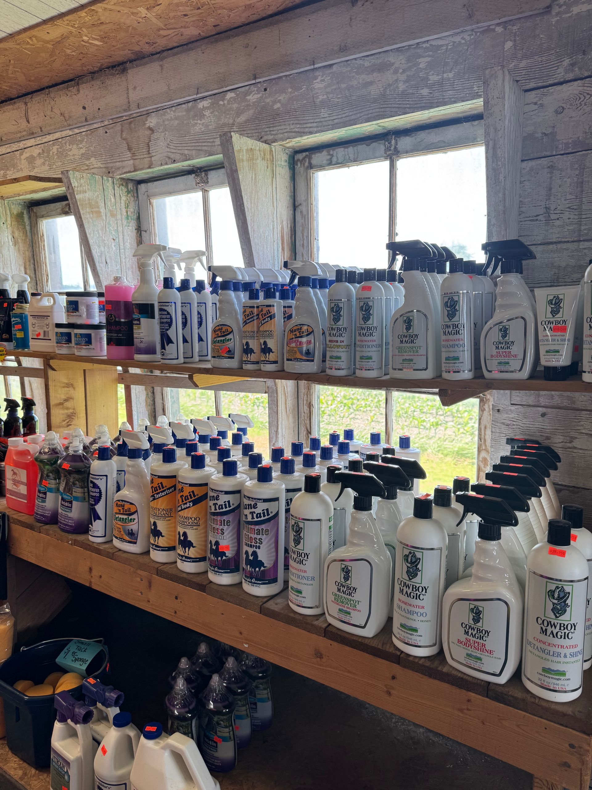 Shelves lined with assorted bottled products in a shop, with a window behind them.