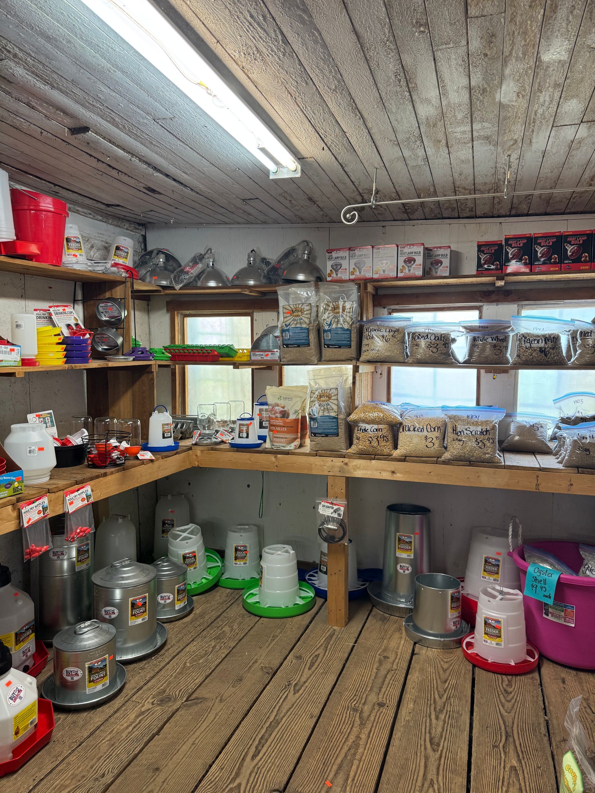 Small pet enclosure with multiple wire cages, bowls, bottles, and supplies on shelves in a room