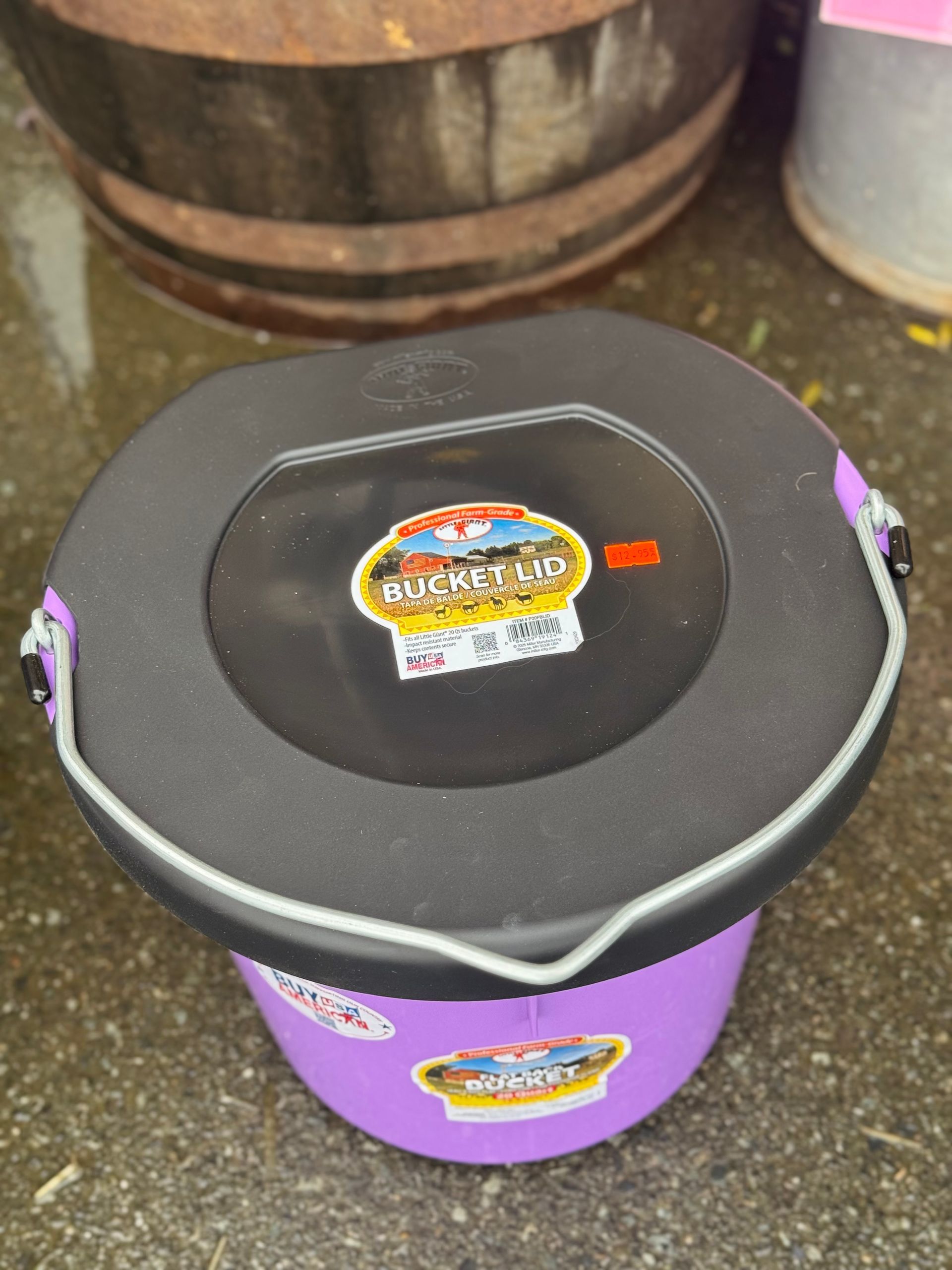 Purple bucket with a black lid and colorful label, sitting outdoors on the ground.