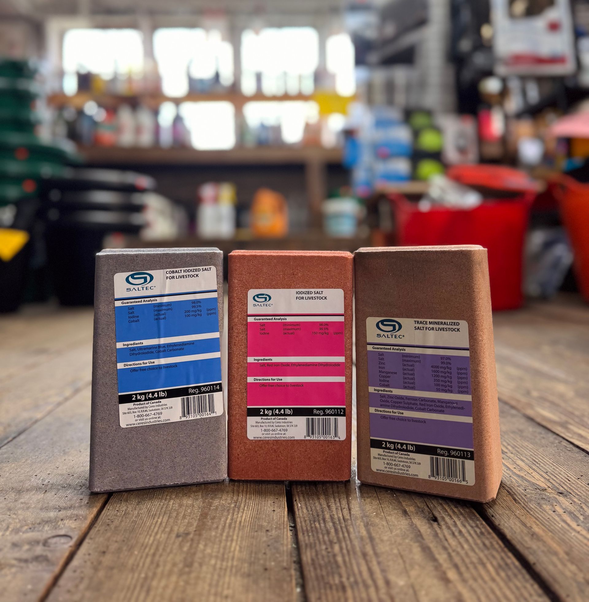 Three small cardboard boxes with colored labels standing on a wooden table in a blurred store setting