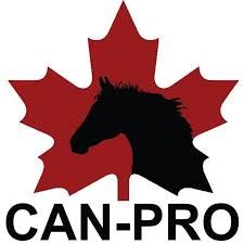 Black horse head silhouette on a red maple leaf above the text “CAN-PRO”