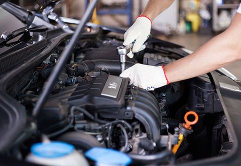 trained auto repair professional