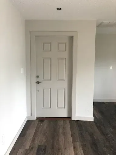 Empty room with a closed white door, white walls, and dark wood flooring.