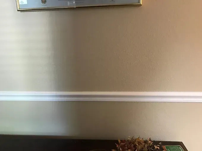 Bare beige wall with white chair rail molding and a small dark planter at the bottom right