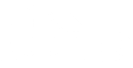 Roofing Boise Homes