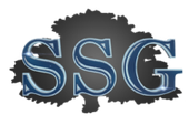 BSG Advisers
