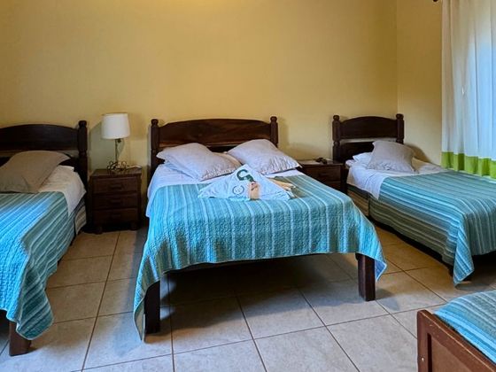 Cama com travesseiros verdes, lençóis brancos e vista da janela para flores e folhagens roxas.