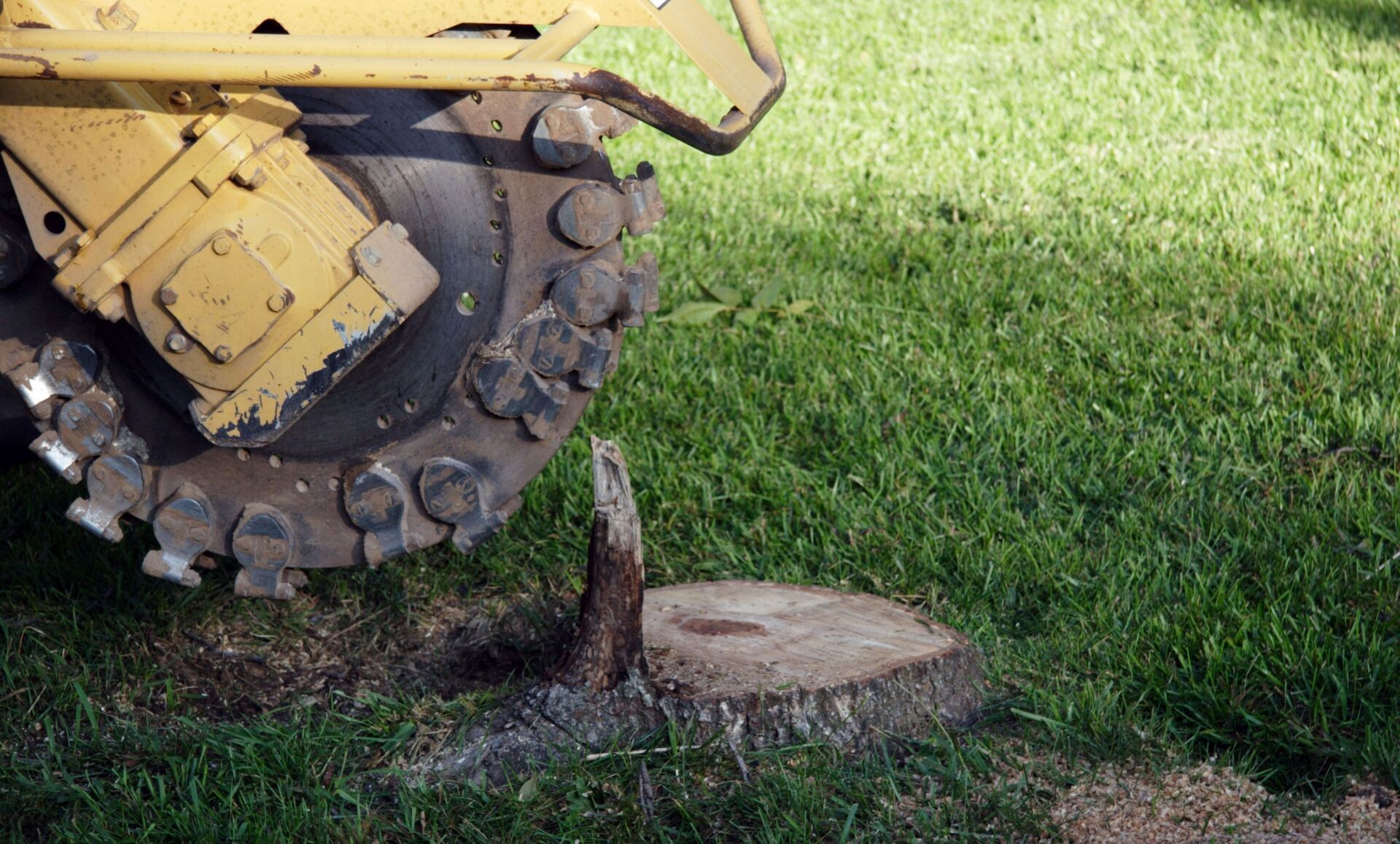 A yellow tractor is cutting a tree stump in the grass.
