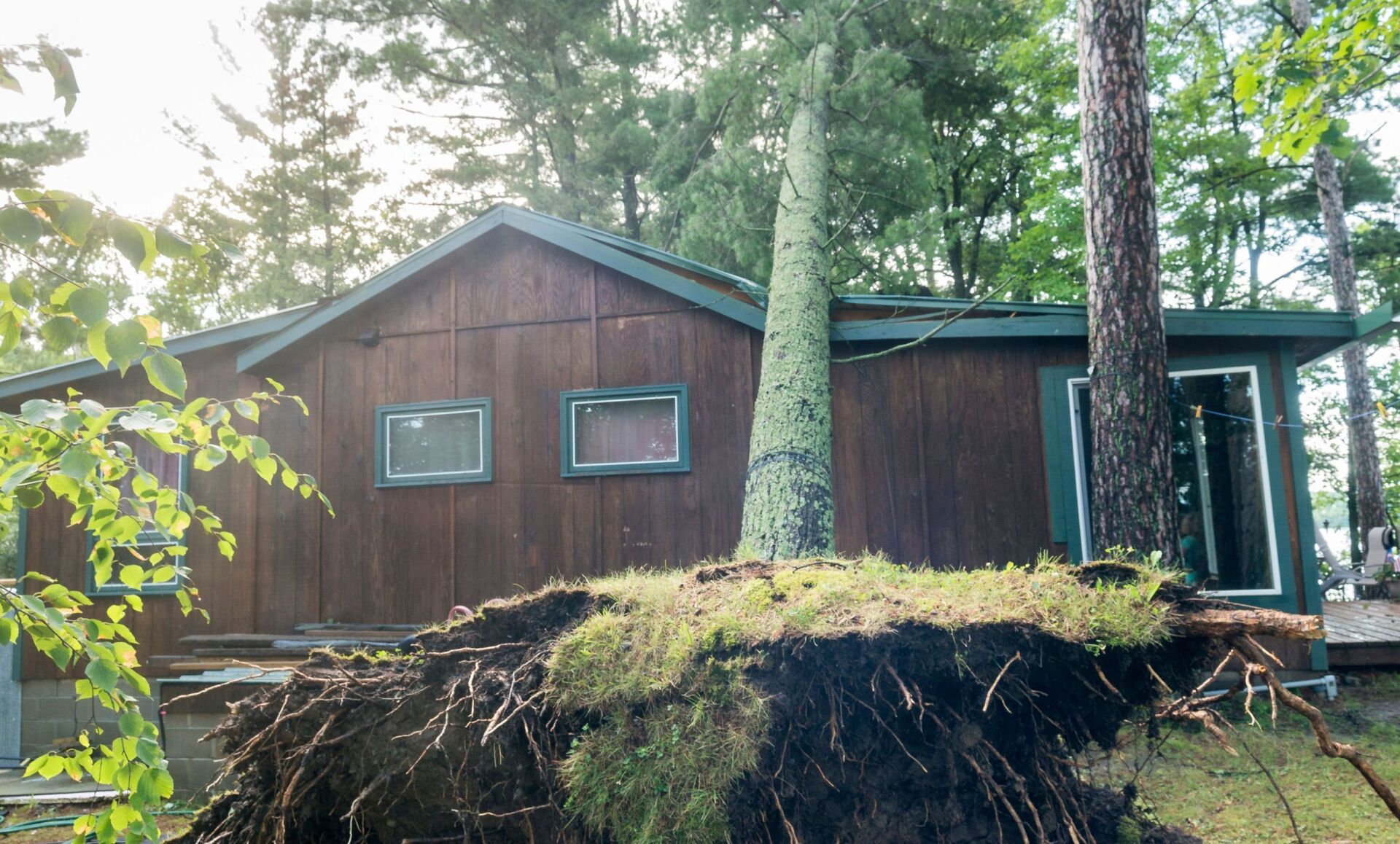 A house with a fallen tree in front of it.