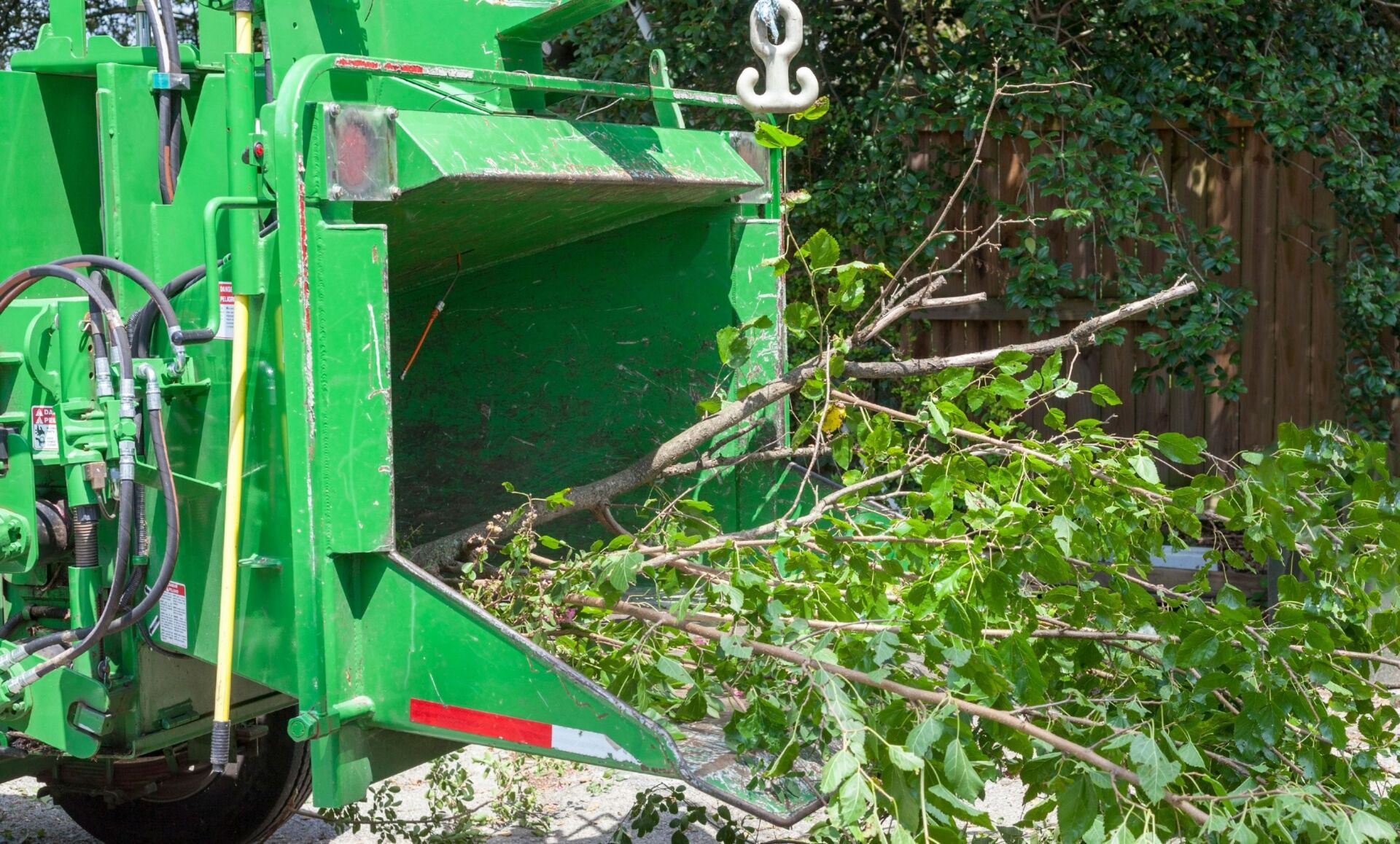 A green tree chipper is cutting down a tree.