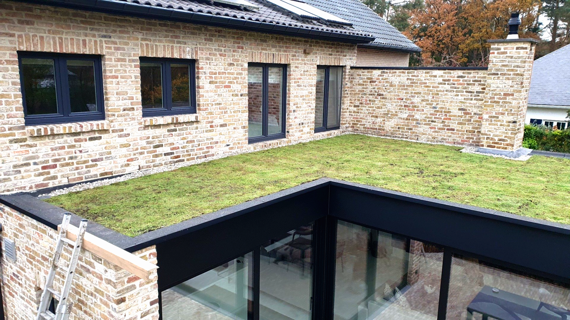 Groendak op uitbouw renovatie