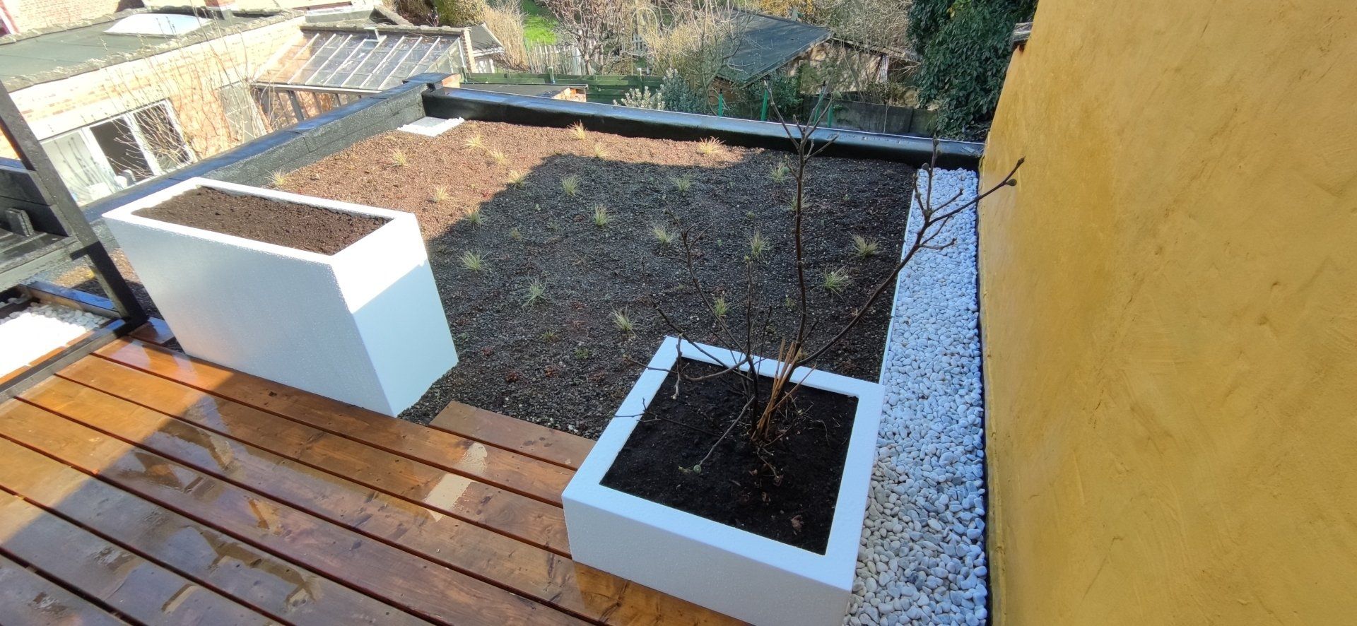 Groendak aangelegd met plugplanten