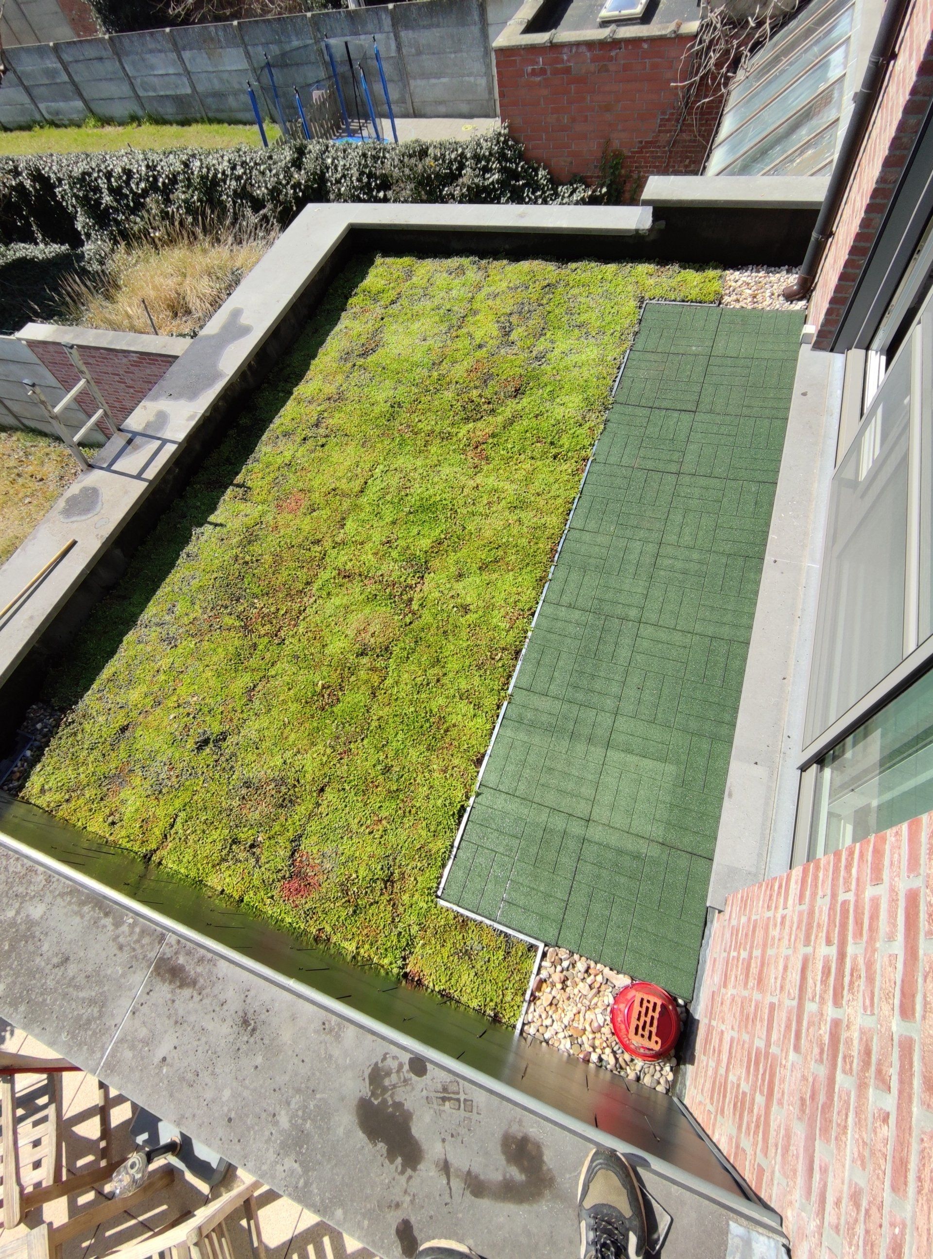 groene daken