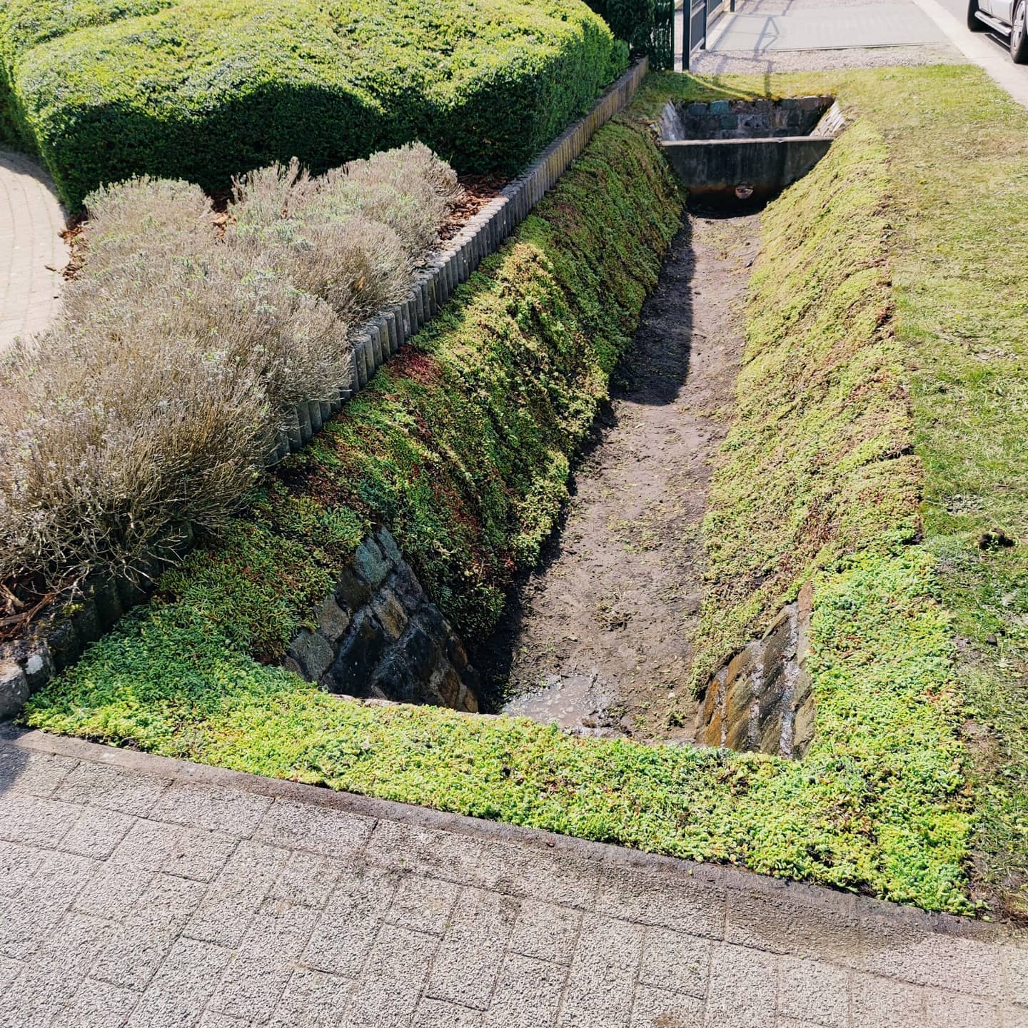begroening gracht met sedummatten