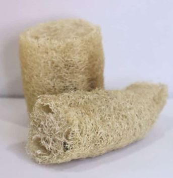 Dos esponjas de lufa natural, una de pie y otra tumbada sobre un fondo blanco.