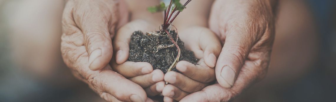 Hands holding soil with a small plant growing out of it.
