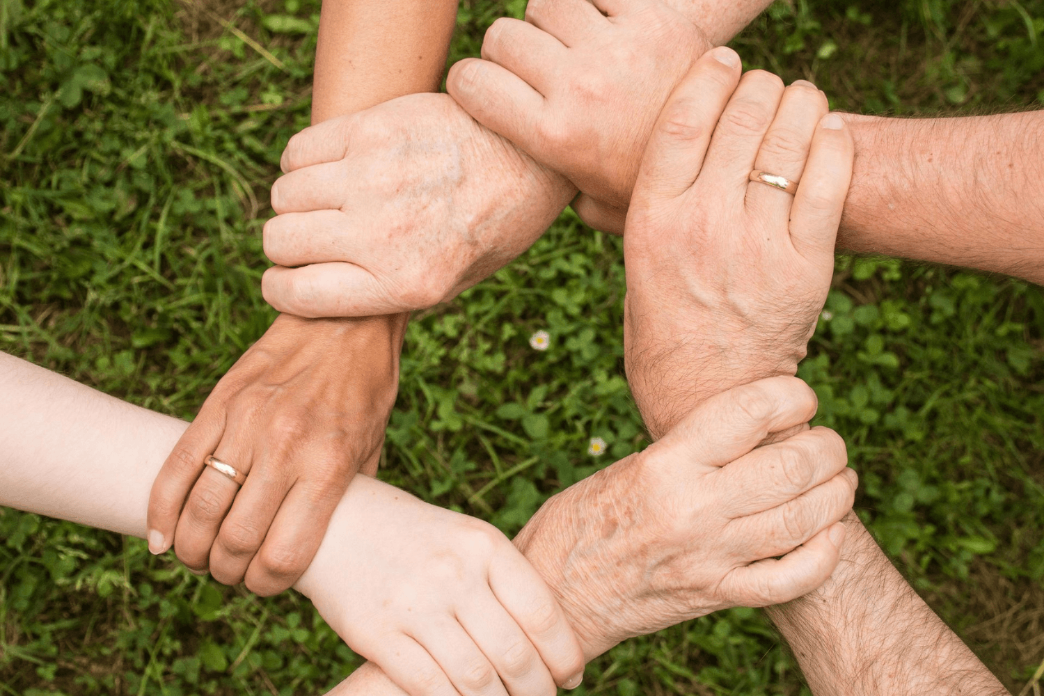 Several diverse hands linked together in a circle on grass