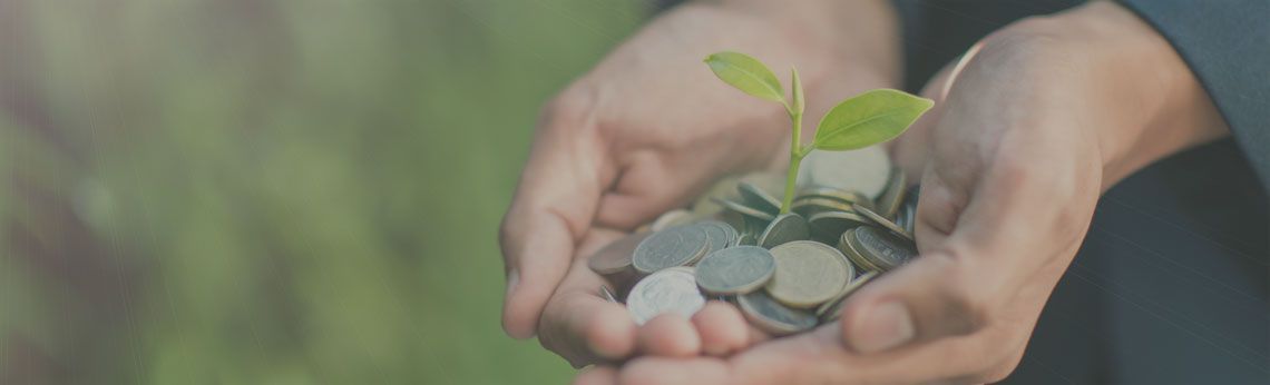 Hands holding coins with a small plant growing out, symbolizing financial growth in a green setting.