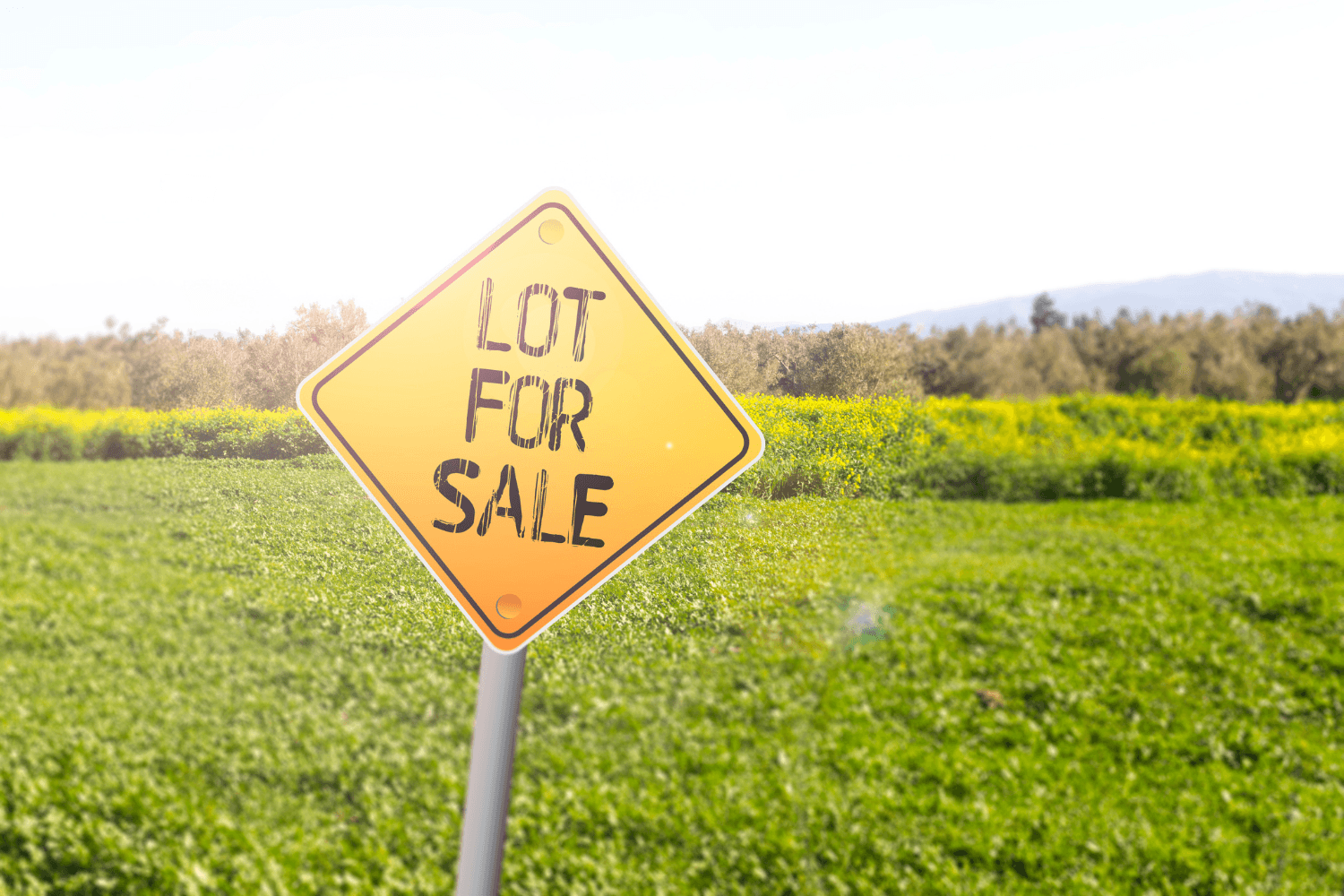 Land purchase and development
