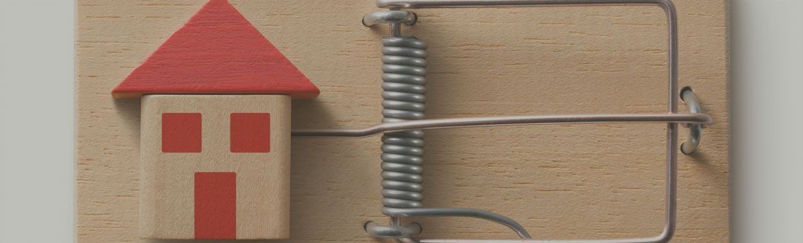Wooden toy house in a mousetrap.
