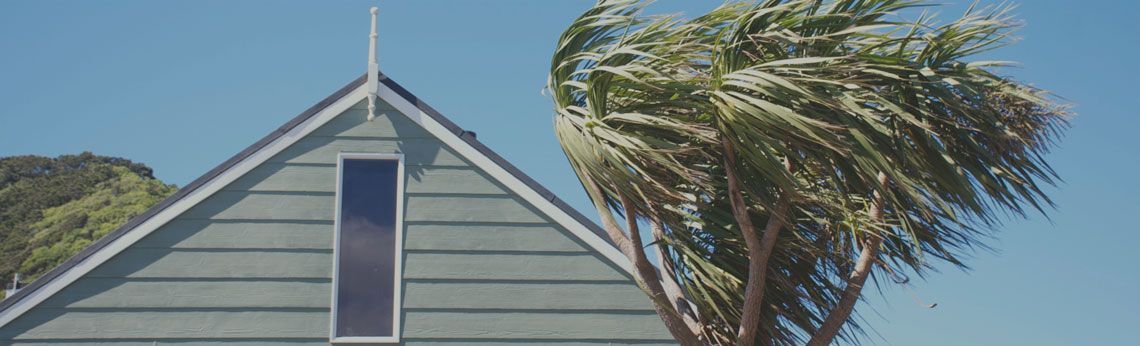 Blue house gable with a tall, narrow window. Palm tree blowing in the wind. Sunny day.