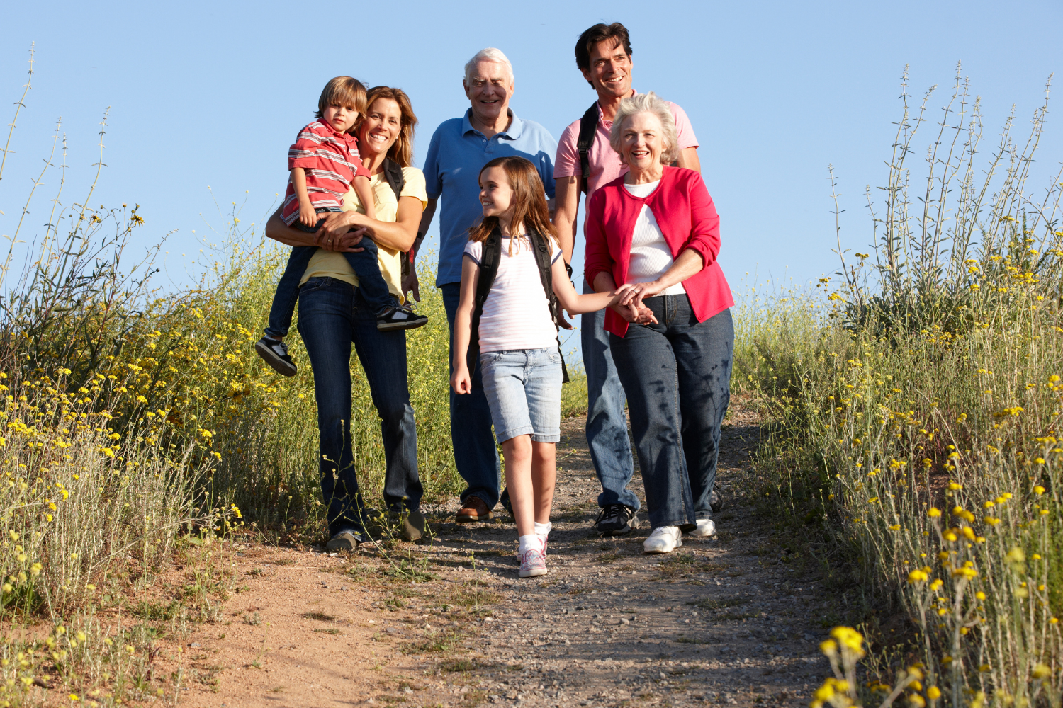 Learn more about our Estate Litigation services Estate Litigation