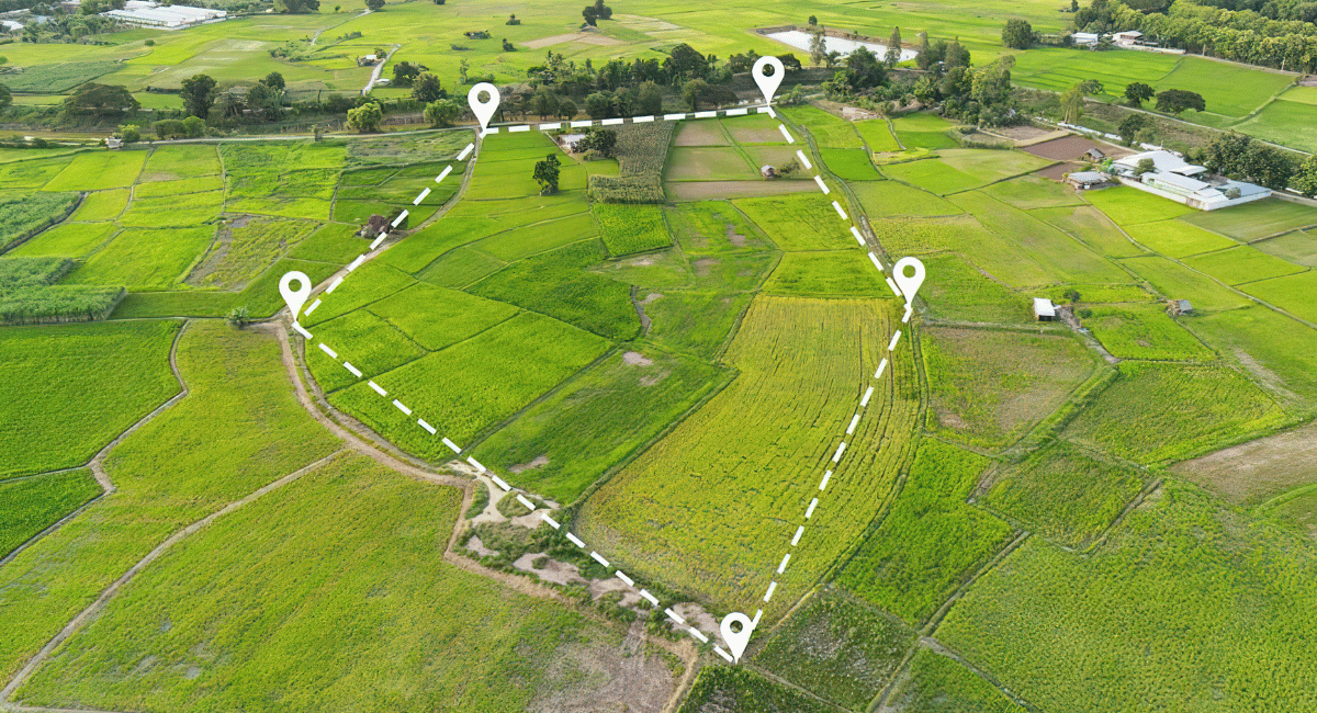 What is a Caveat on a Property in NZ?