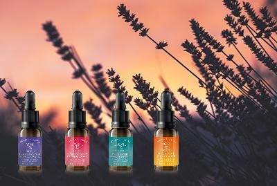 Vier farbenfrohe Fläschchen mit ätherischen Ölen, die sich vor einem rosa-orangenen Sonnenuntergangshimmel mit Gräsern abzeichnen.